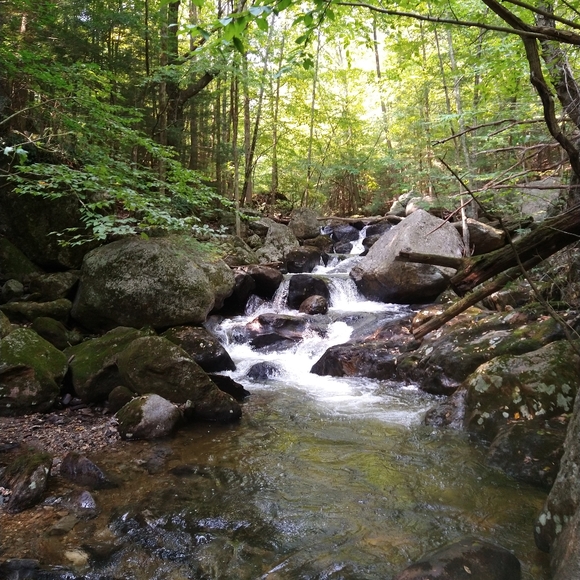 Meet your Posher, Hopeful - Picture 11 of 16